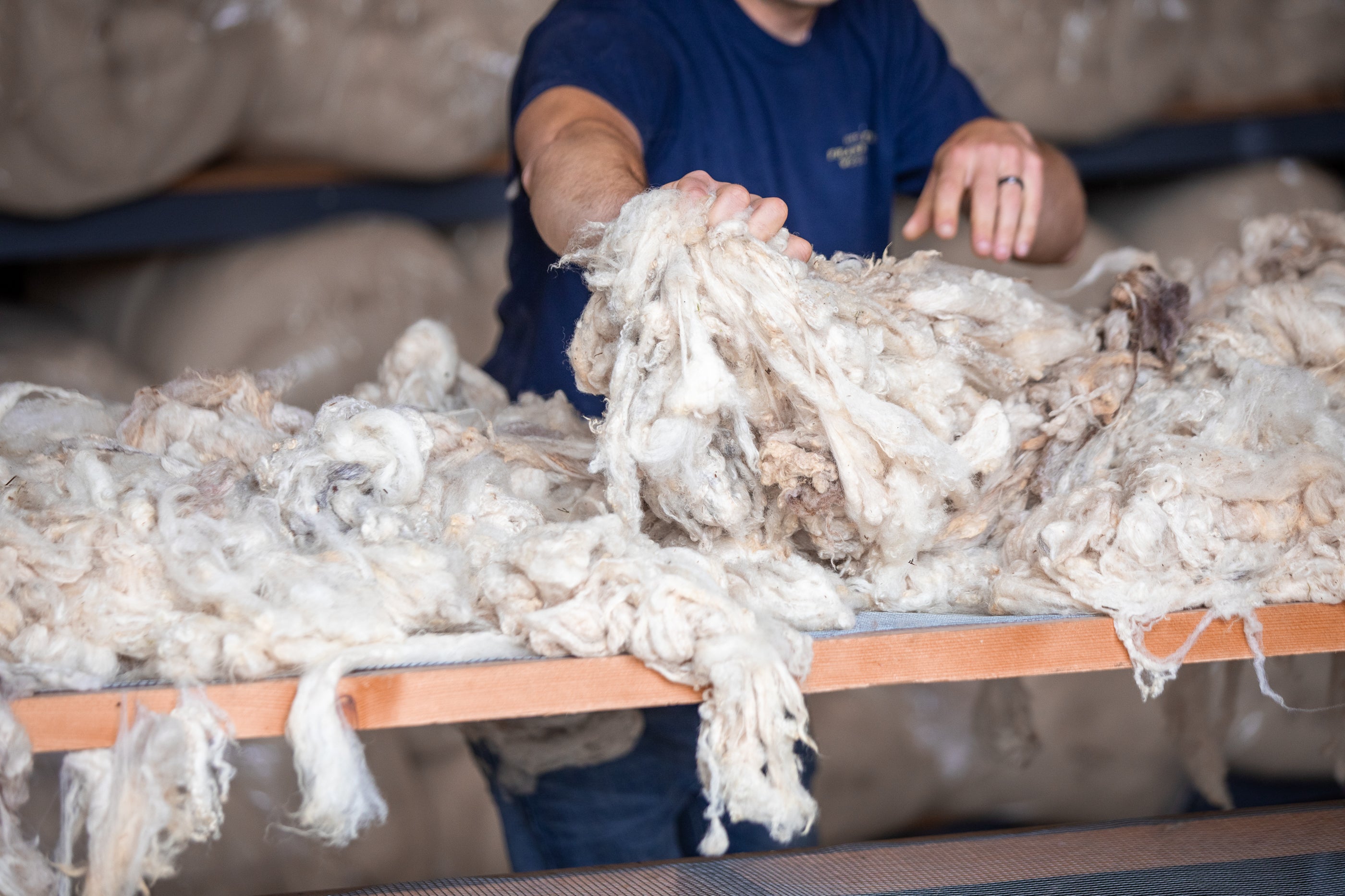 “Washable” Wool Bedding Not the Cleanest Choice for Healthy Sleep