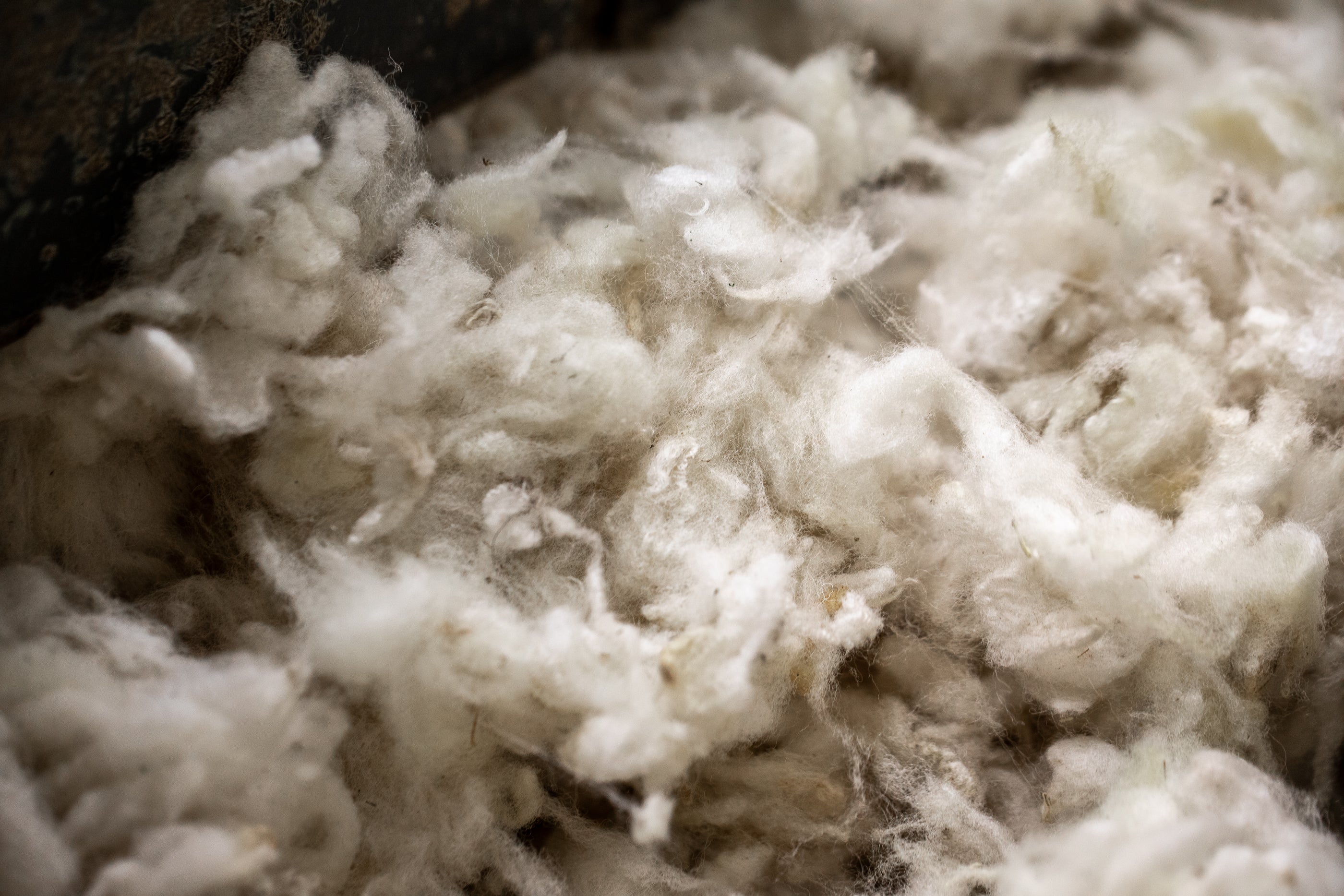 The United States Military: The Largest Consumer of American Wool ...